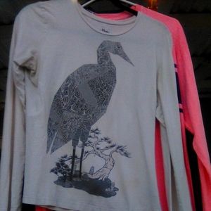 American Apparel LS tee (threadless)